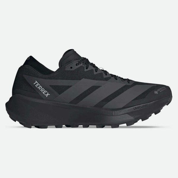 Adidas Terrex Agravic Gtx 2 uomo
