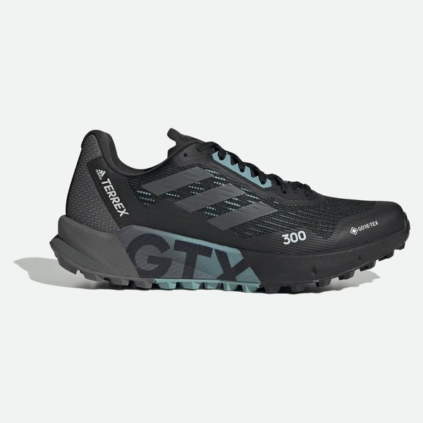 Adidas trail da Adidas Terrex Agravic Flow 2.0 Gore-tex donna