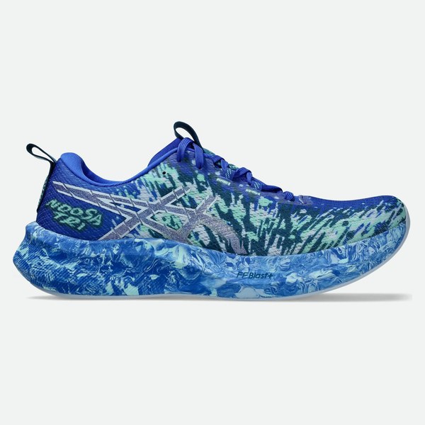 ASICS Noosa Tri 16
