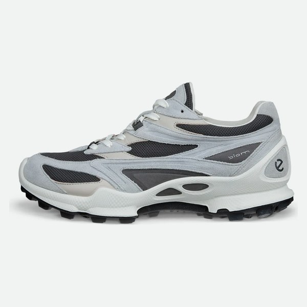 ECCO trail Ecco Biom