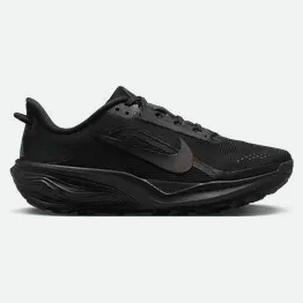 Nike ACG ACG Pegasus donna