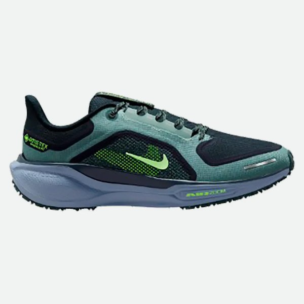 Nike Air Zm Pegasus 41 Gore-tex®