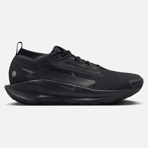 Nike da trail Nike Pegasus 5 Gore-Tex