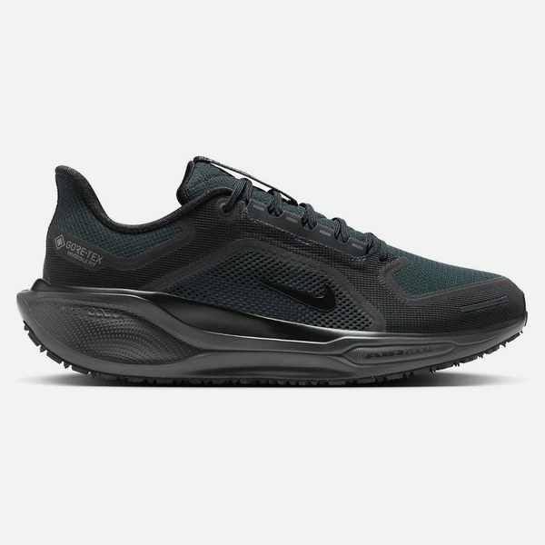 Nike Pegasus 41 Gore-Tex uomo