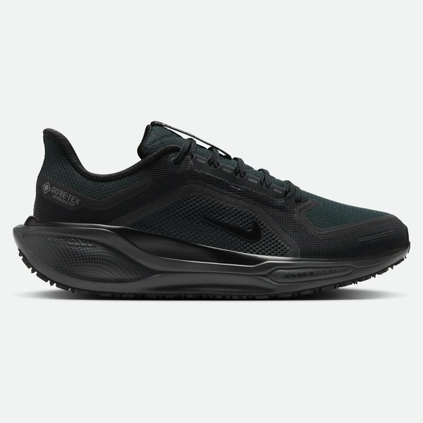 Nike Pegasus 41 Gore-Tex