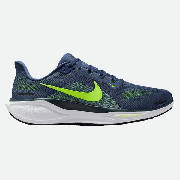 Nike Pegasus 41 uomo