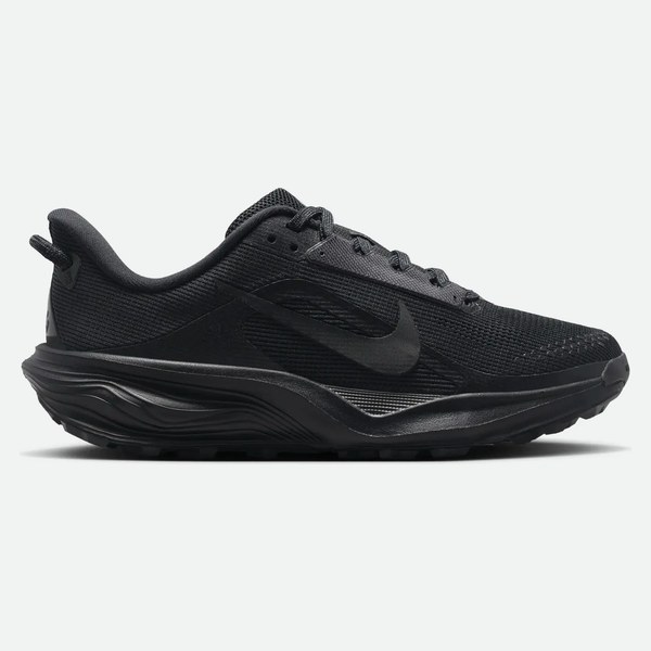 Nike Pegasus junior