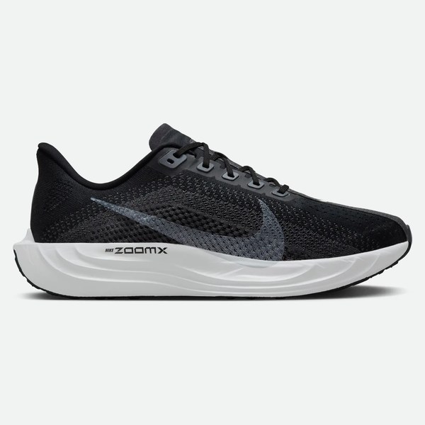 Nike Pegasus Plus