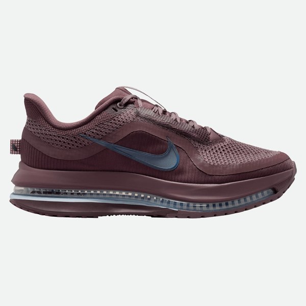 Nike Pegasus Premium donna