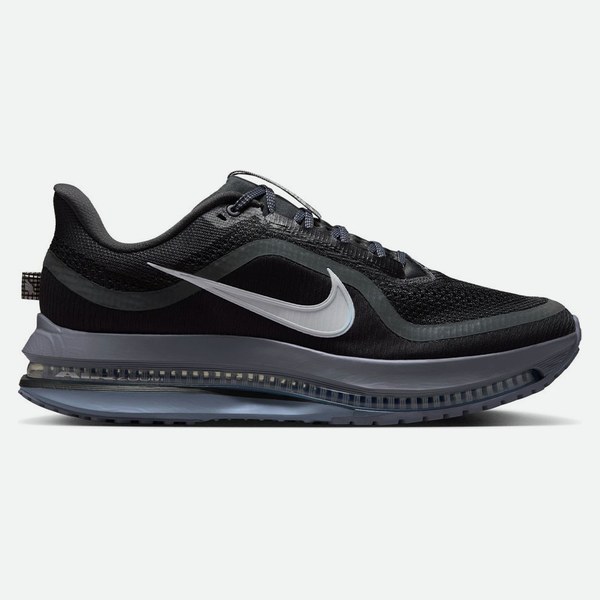 Nike Pegasus Premium Nero Metallic Argento