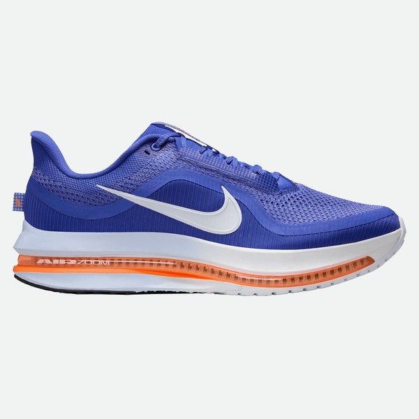 Nike Pegasus Premium uomo