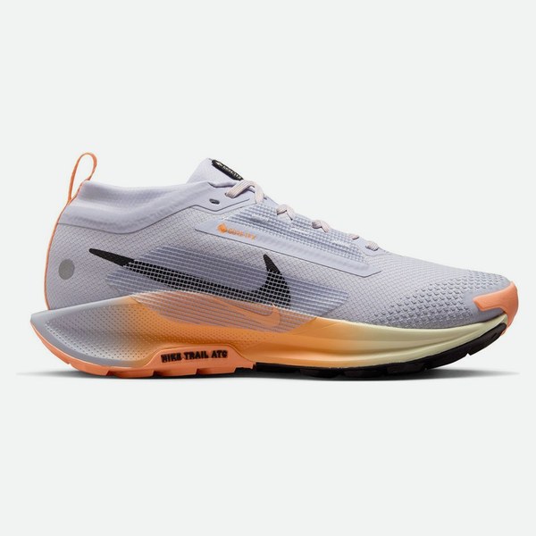 Nike Pegasus Trail 5 GORE-TEX Grigio Nero Arancio