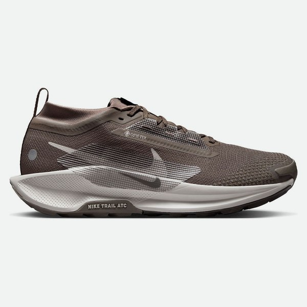 Nike Pegasus Trail 5 Gore-Tex Marrone