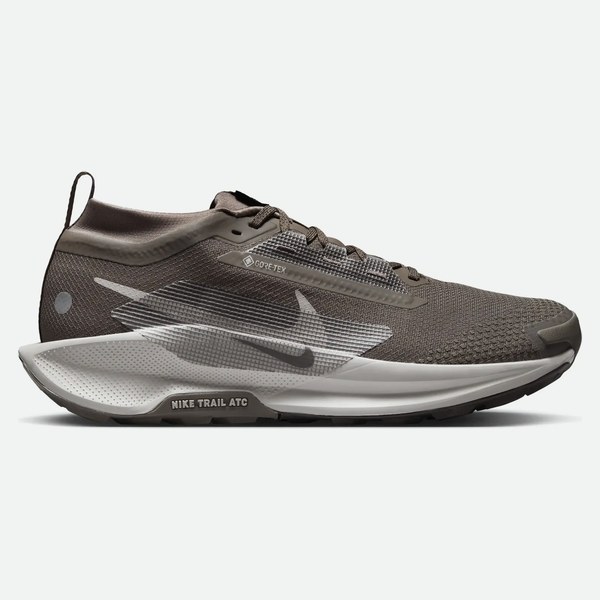 Nike Pegasus Trail 5 GORE-TEX