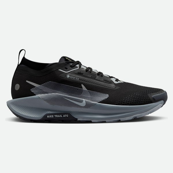 Nike Pegasus Trail 5 Gtx uomo