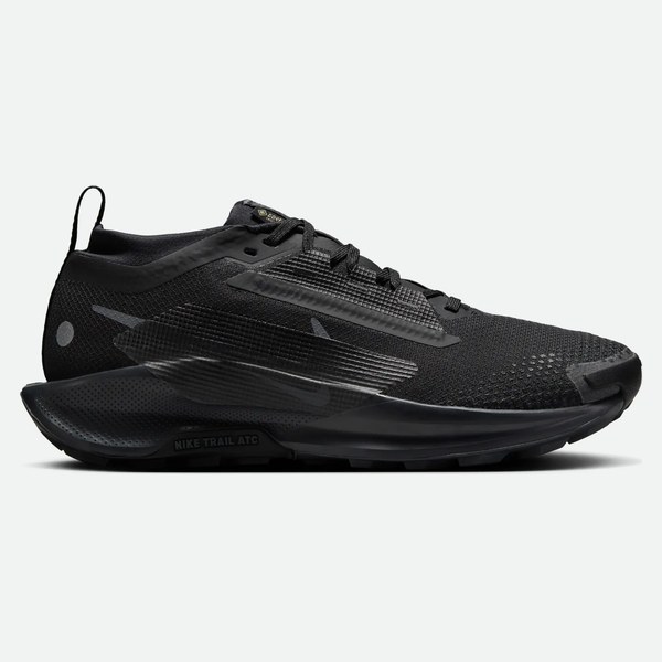 Nike trail da Nike Pegasus Trail 5 GORE-TEX donna