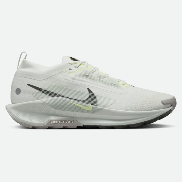 Nike trail Nike Pegasus 5 Gore-Tex