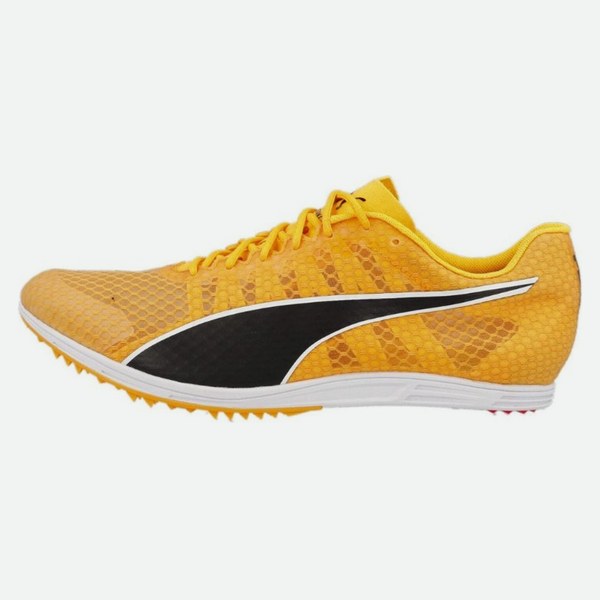 Puma evoSPEED Distance 11