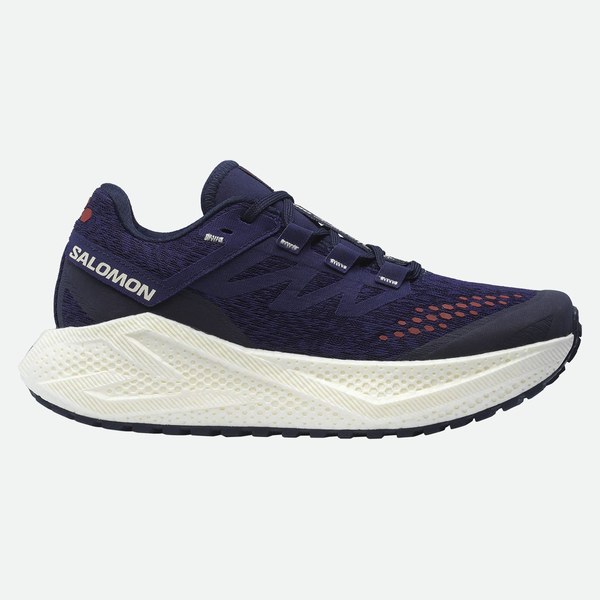 Salomon Aero Glide 3 Grvl donna