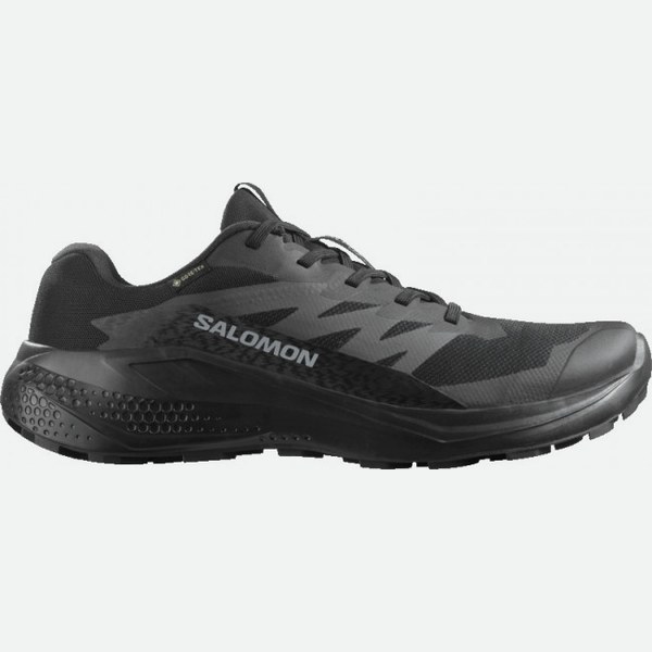 Salomon Alphaglide GTX, , , nero uomo