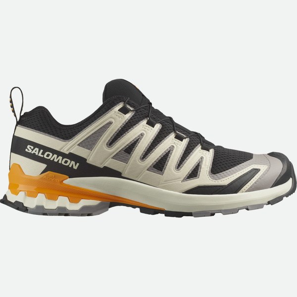 Salomon XA PRO 3D V9, da trail, , nero/beige uomo