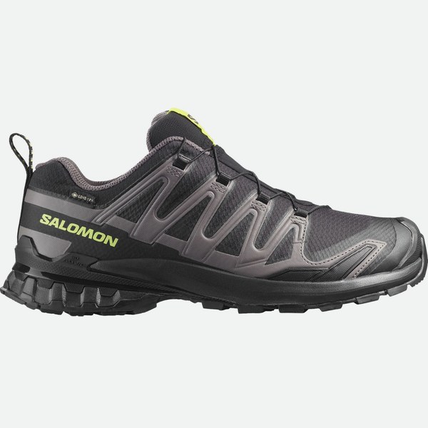 Salomon XA PRO 3D V9 GTX, da trail, , nero/verde uomo