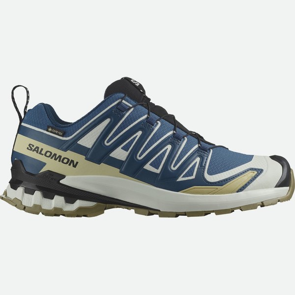 Salomon XA Pro 3D V9 GTX, trail, , blu uomo