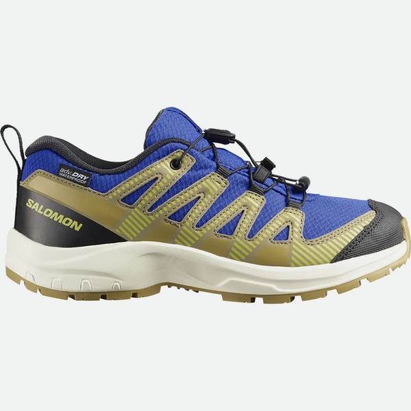 Salomon Xa Pro V8 Wp
