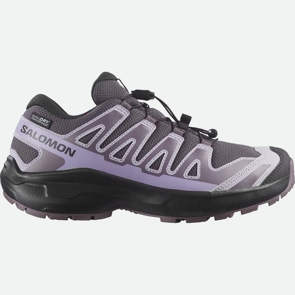 Salomon Xa Pro Wp V9