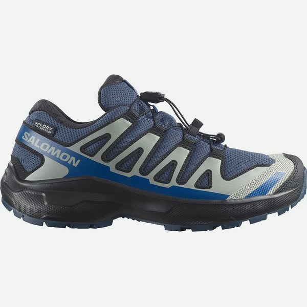 Salomon Xa Pro Wp