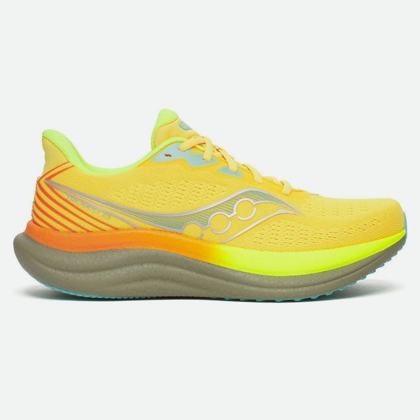 Saucony Triumph 23 Laurel Nero