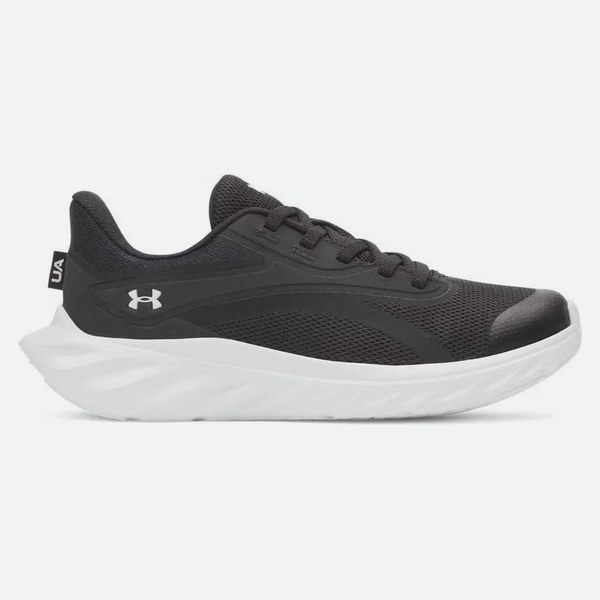 Under Armour Ps Ascend Al uomo